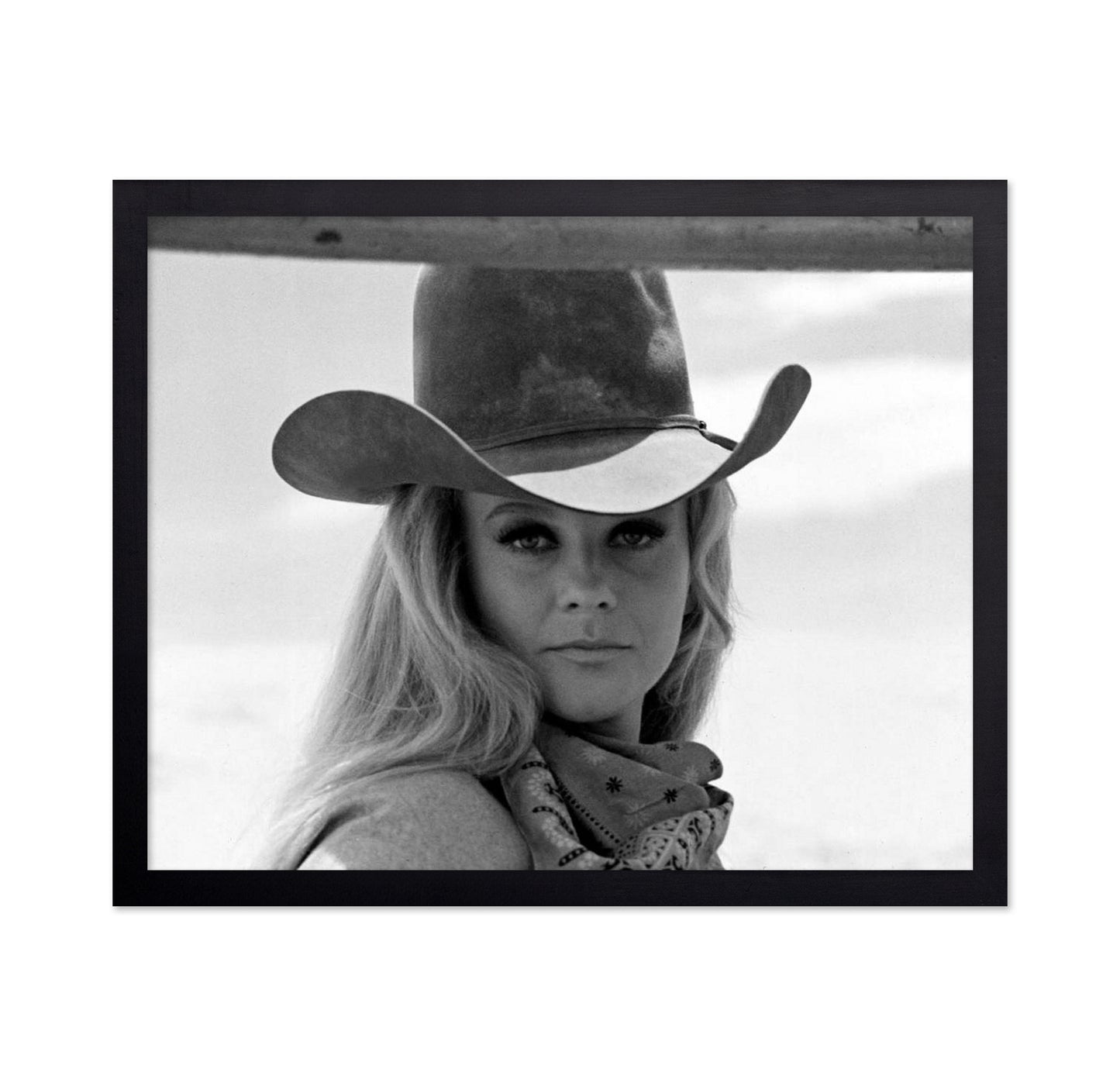 The Train Robbers 1972 Ann Margret No3