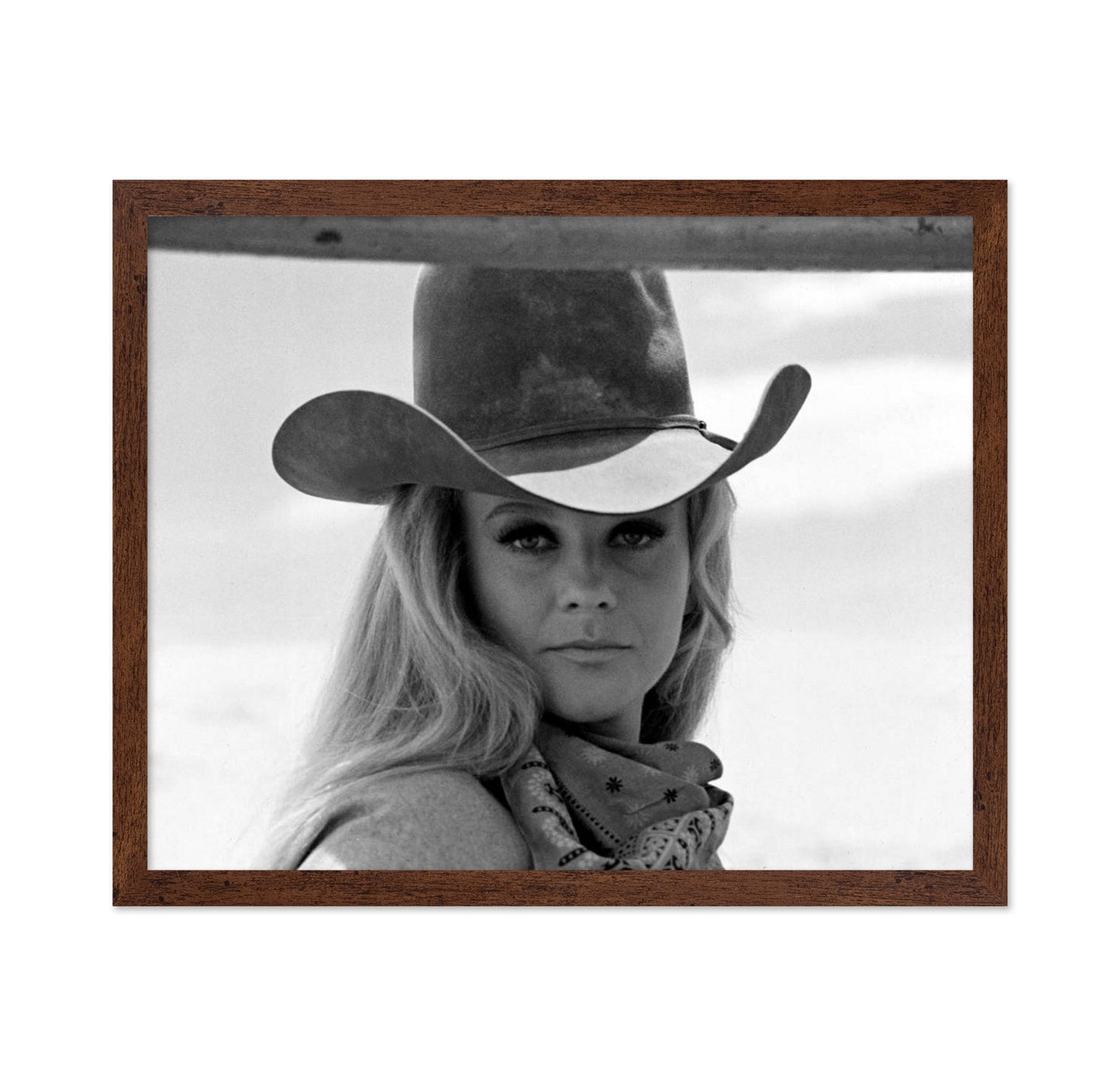 The Train Robbers 1972 Ann Margret No3