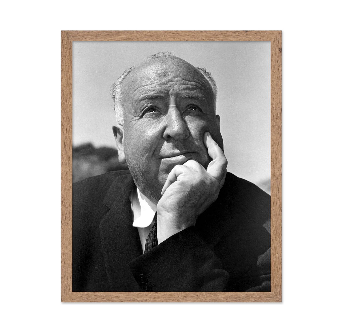 The Birds 1963 Alfred Hitchcock No4