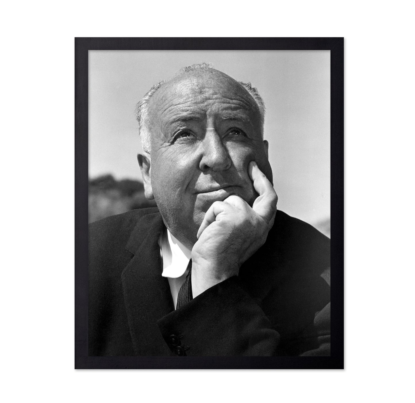 The Birds 1963 Alfred Hitchcock No4