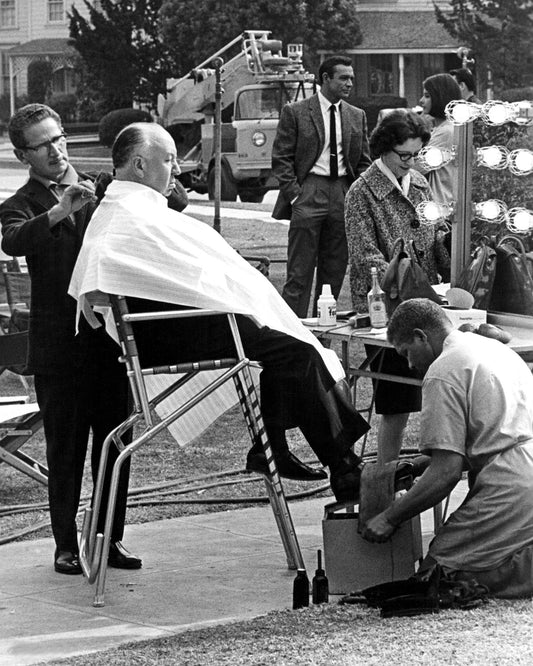Marnie 1964 Alfred Hitchcock No2