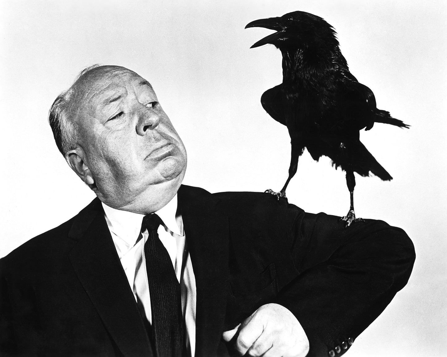 The Birds 1963 Alfred Hitchcock No5