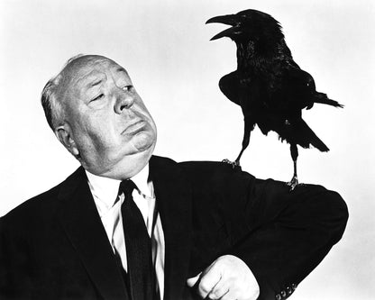 The Birds 1963 Alfred Hitchcock No5