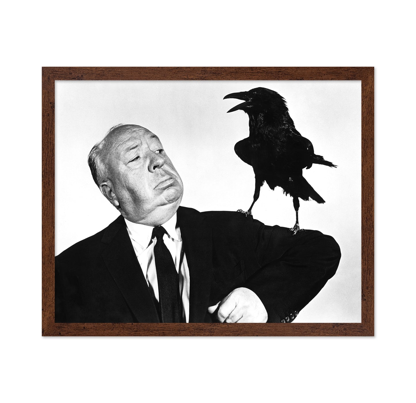 The Birds 1963 Alfred Hitchcock No5