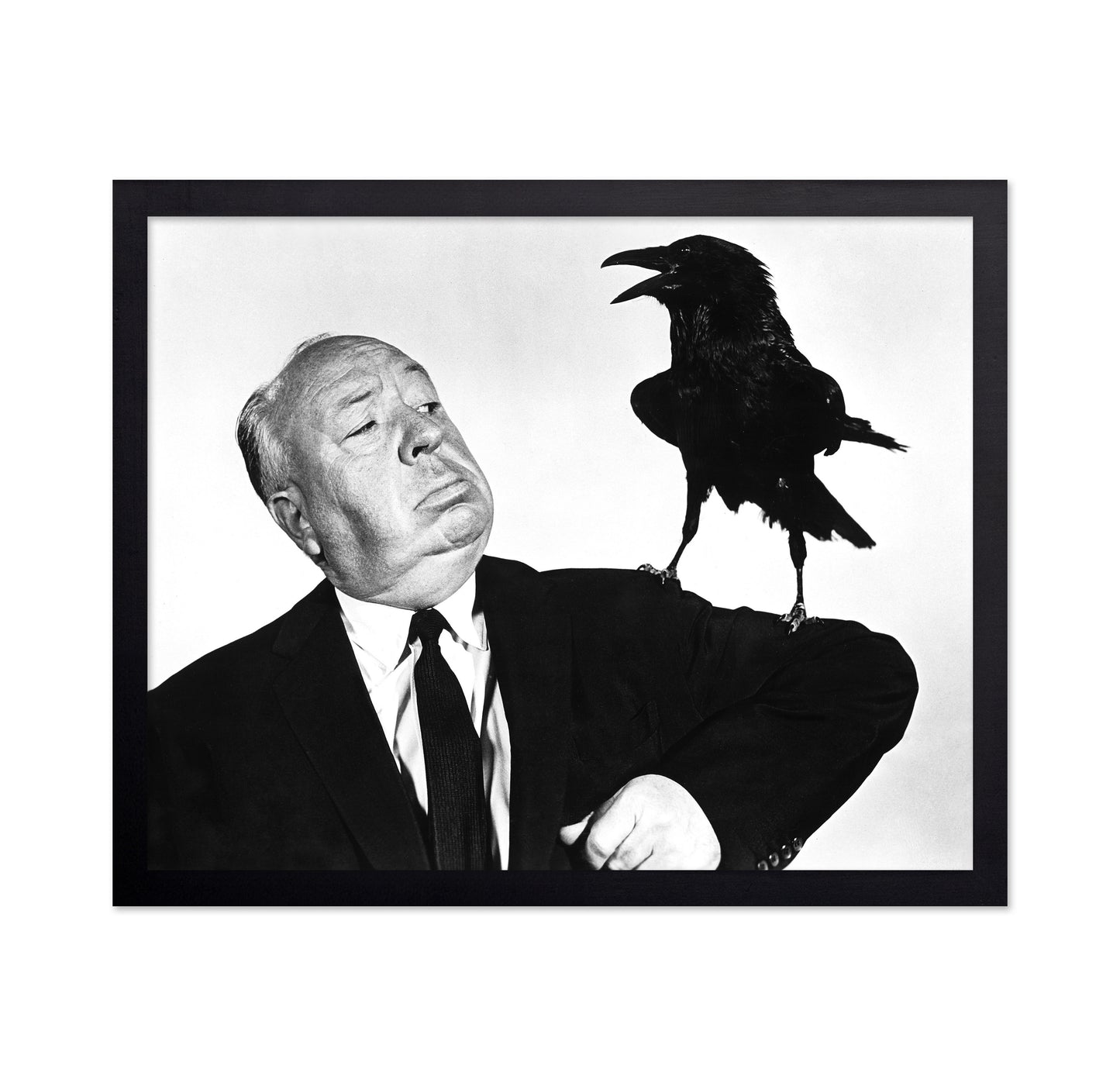 The Birds 1963 Alfred Hitchcock No5