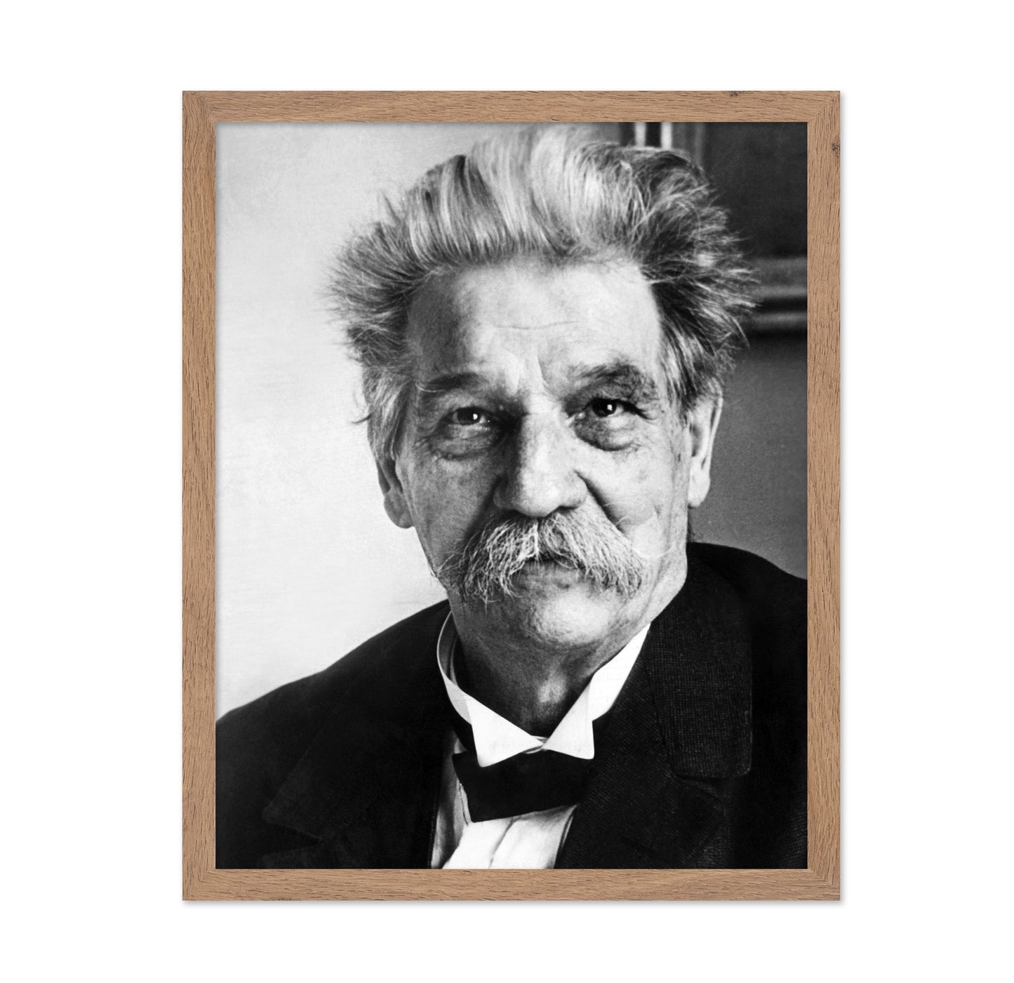 Albert Schweitzer 1940S