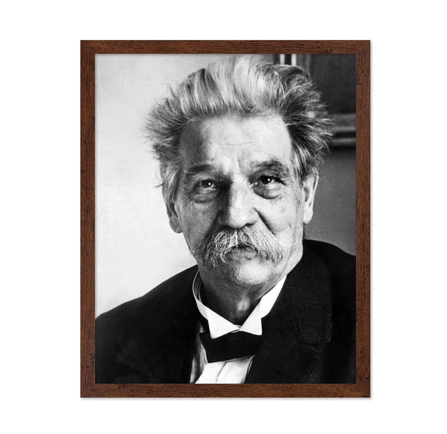 Albert Schweitzer 1940S