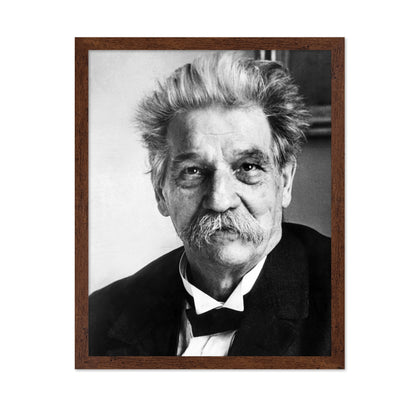 Albert Schweitzer 1940S