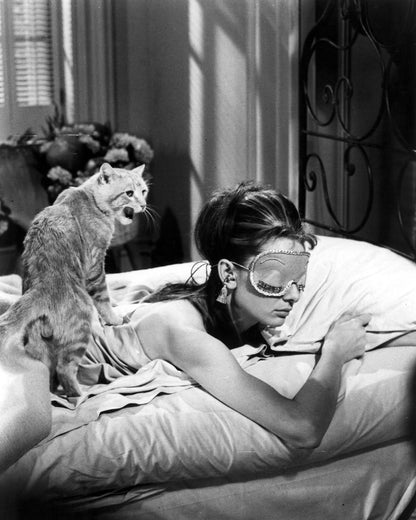 Breakfast at Tiffany's 1961 Audrey Hepburn No5