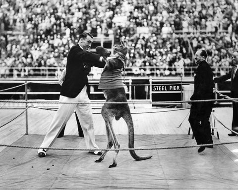 Primo Carnera 1933