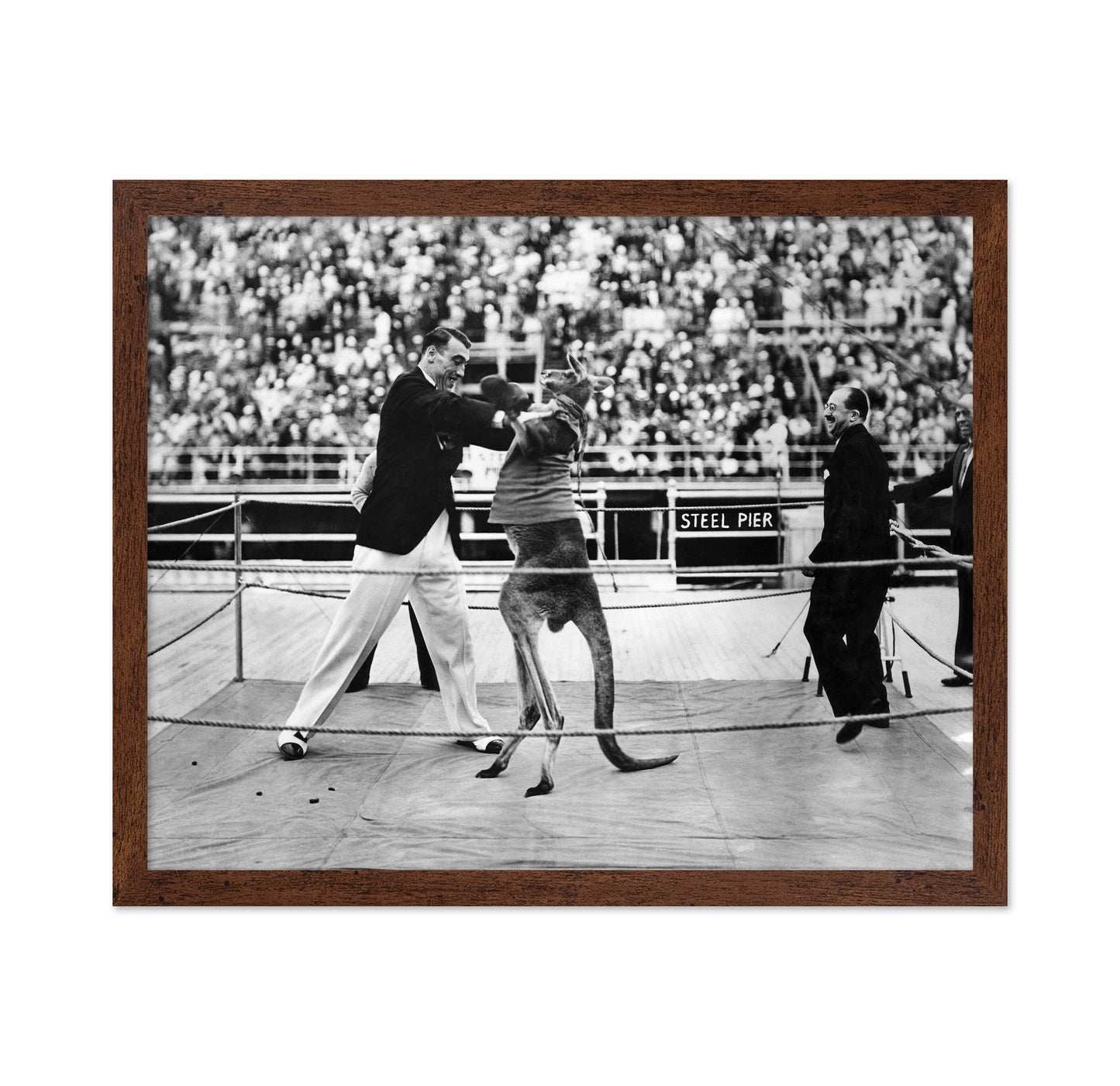 Primo Carnera 1933