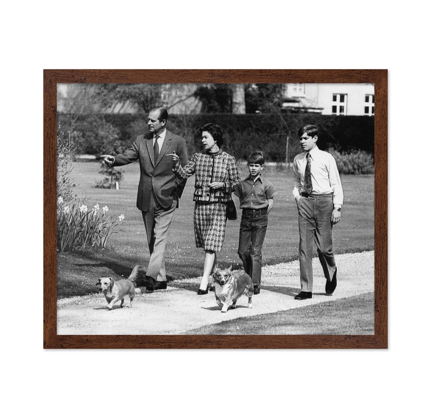 Royal Family Walking With Dogs 1973 Queen Elizabeth
