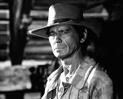 Once Upon A Time In The West 1968 Charles Bronson No2