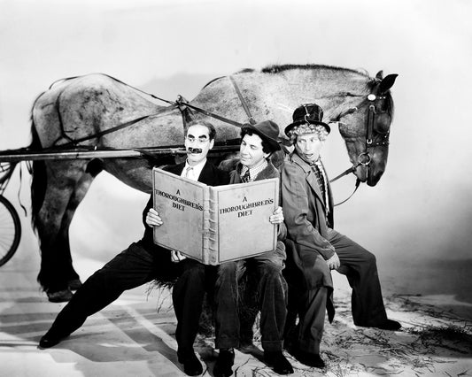 A Day At The Races 1937 Groucho Marx No1