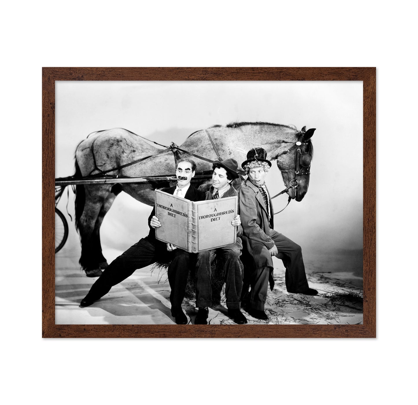 A Day At The Races 1937 Groucho Marx No1