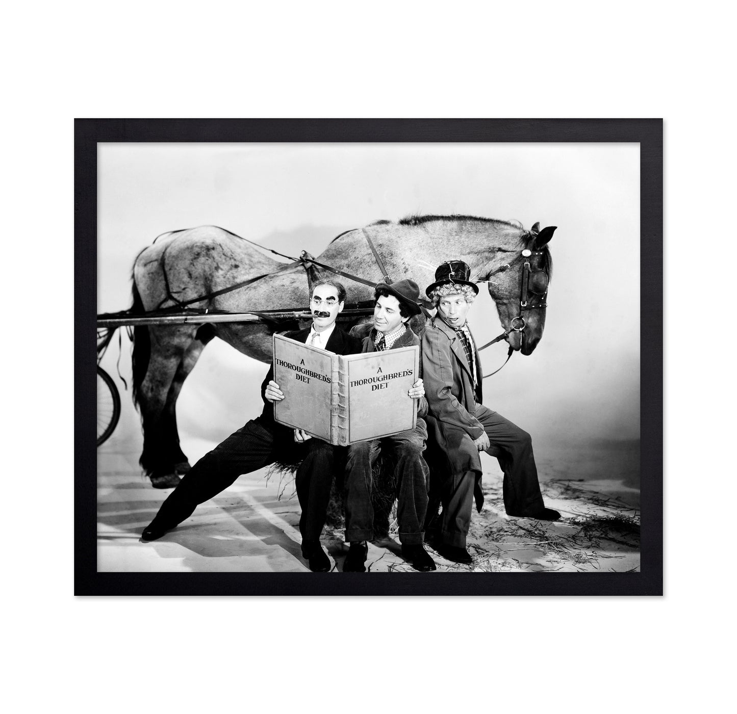 A Day At The Races 1937 Groucho Marx No1