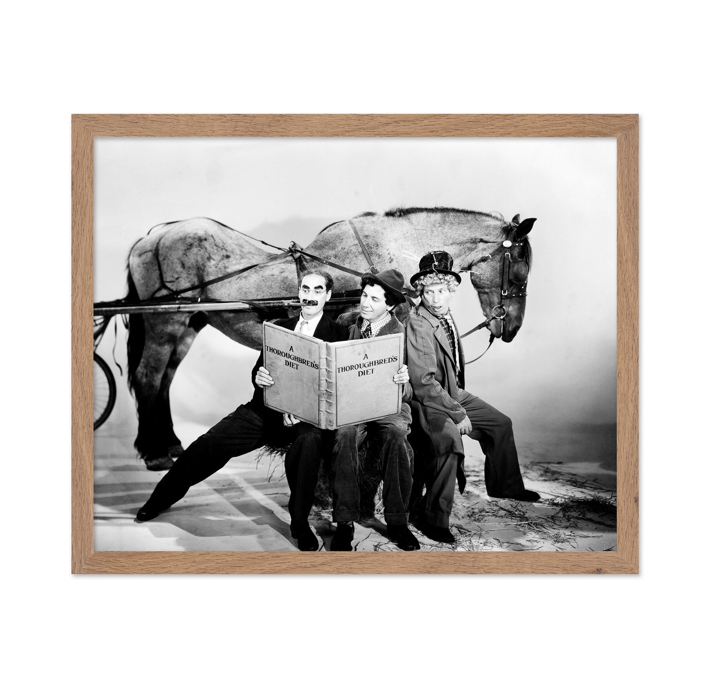 A Day At The Races 1937 Groucho Marx No1