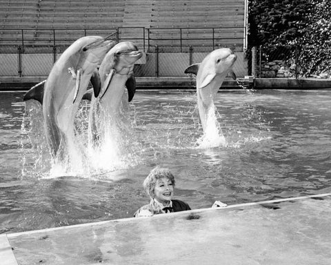 The Lucy Show 1965 Lucille Ball No2