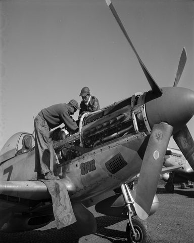 Tuskegee Airmen Roscoe C. Brown 1945