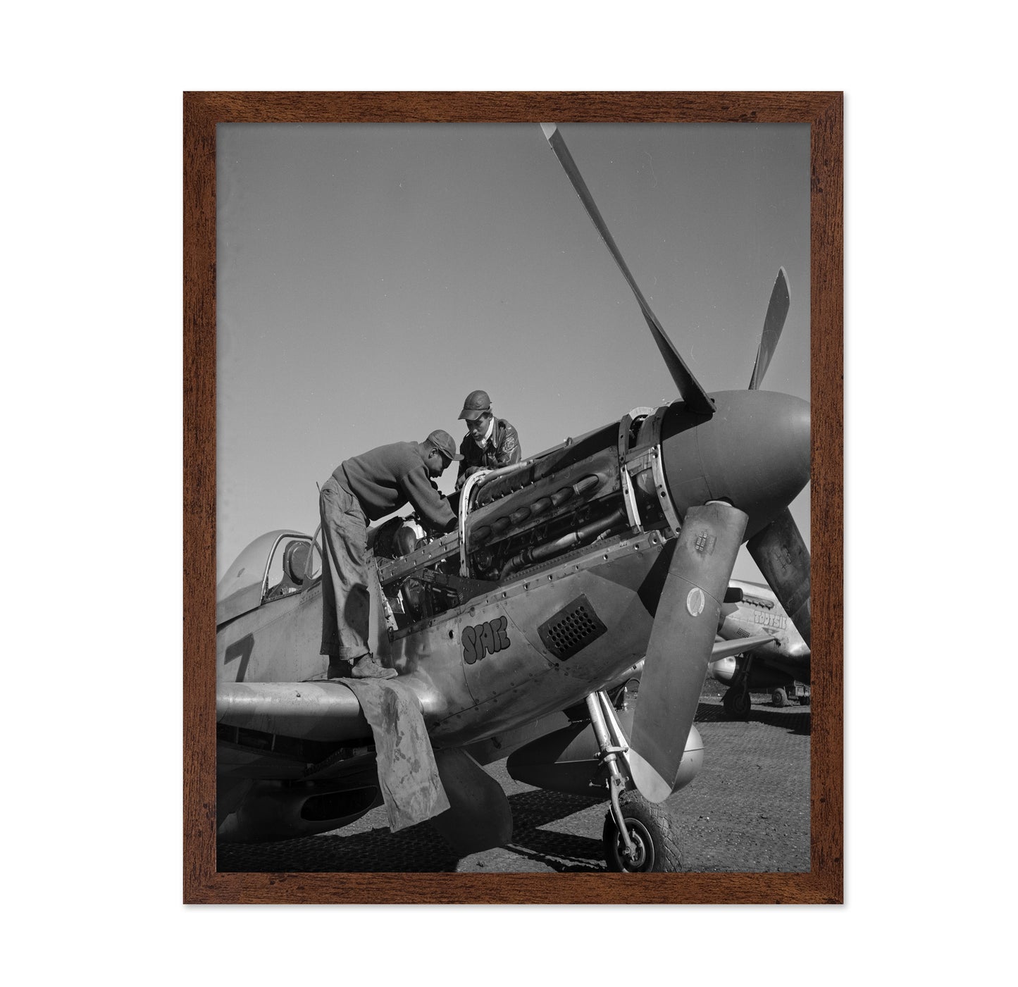 Tuskegee Airmen Roscoe C. Brown 1945