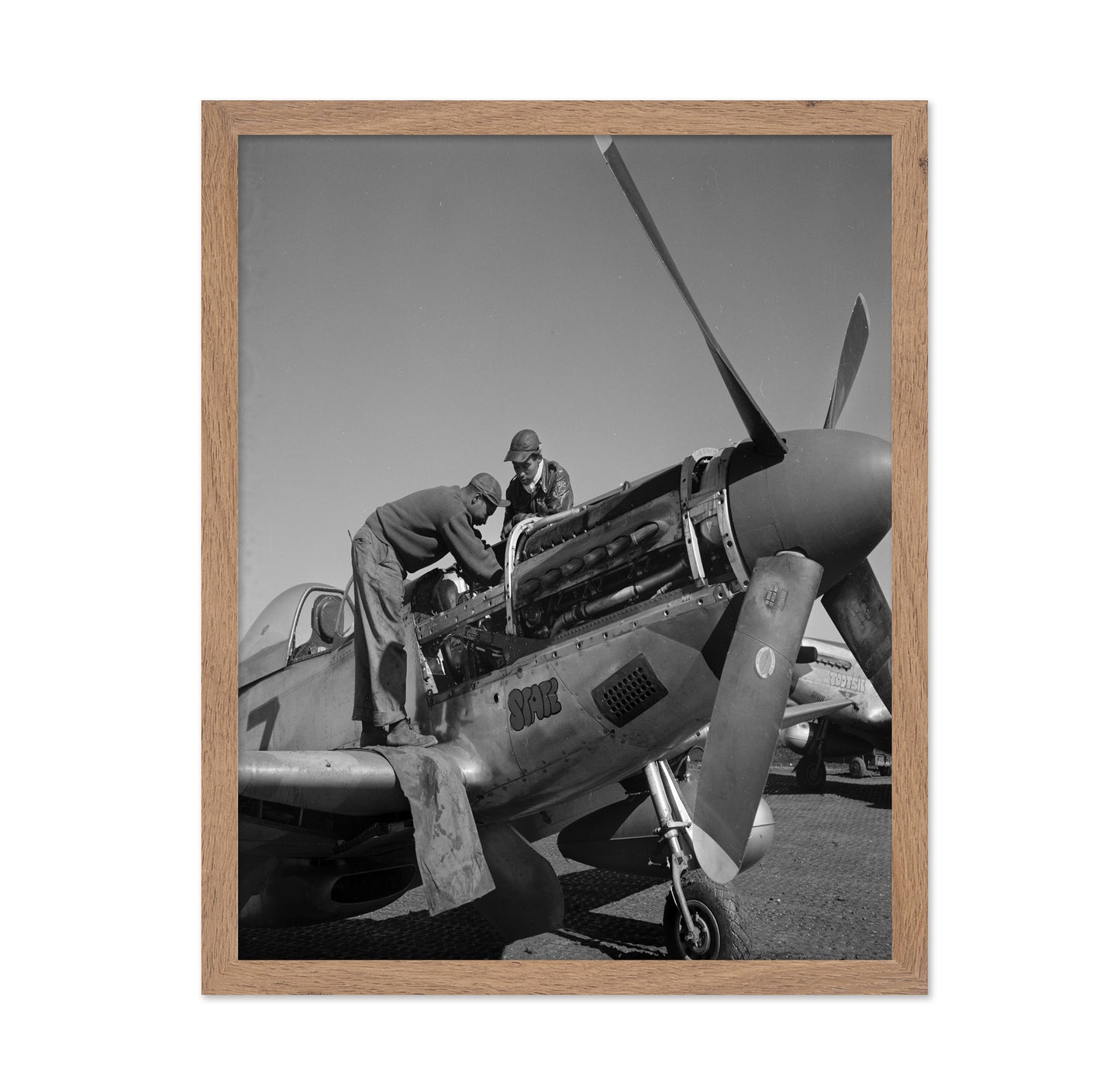 Tuskegee Airmen Roscoe C. Brown 1945