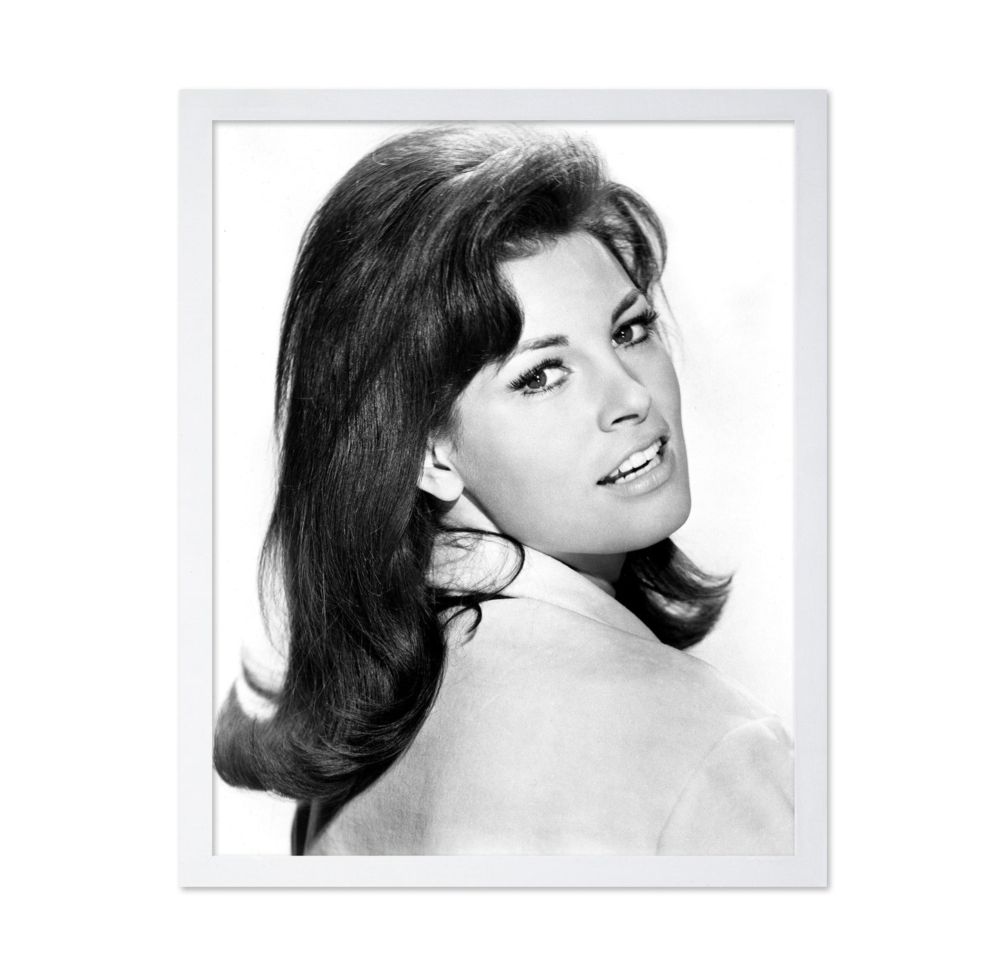 Fantastic Voyage 1966 Raquel Welch