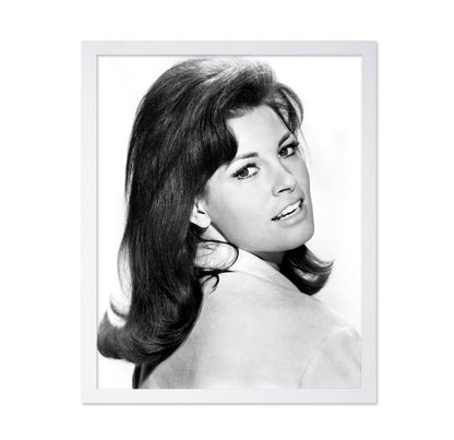 Fantastic Voyage 1966 Raquel Welch