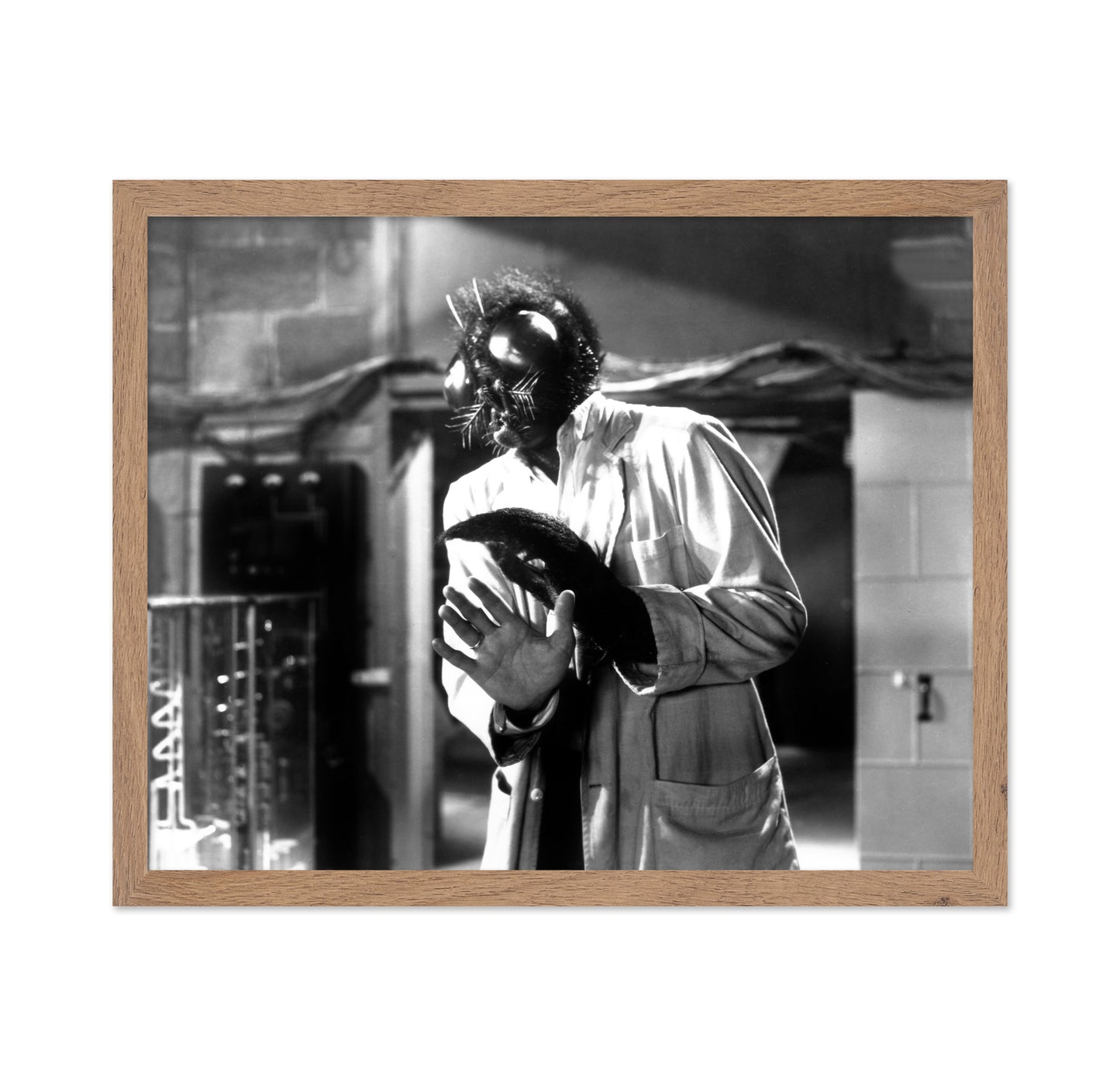 The Fly 1958 David Hedison