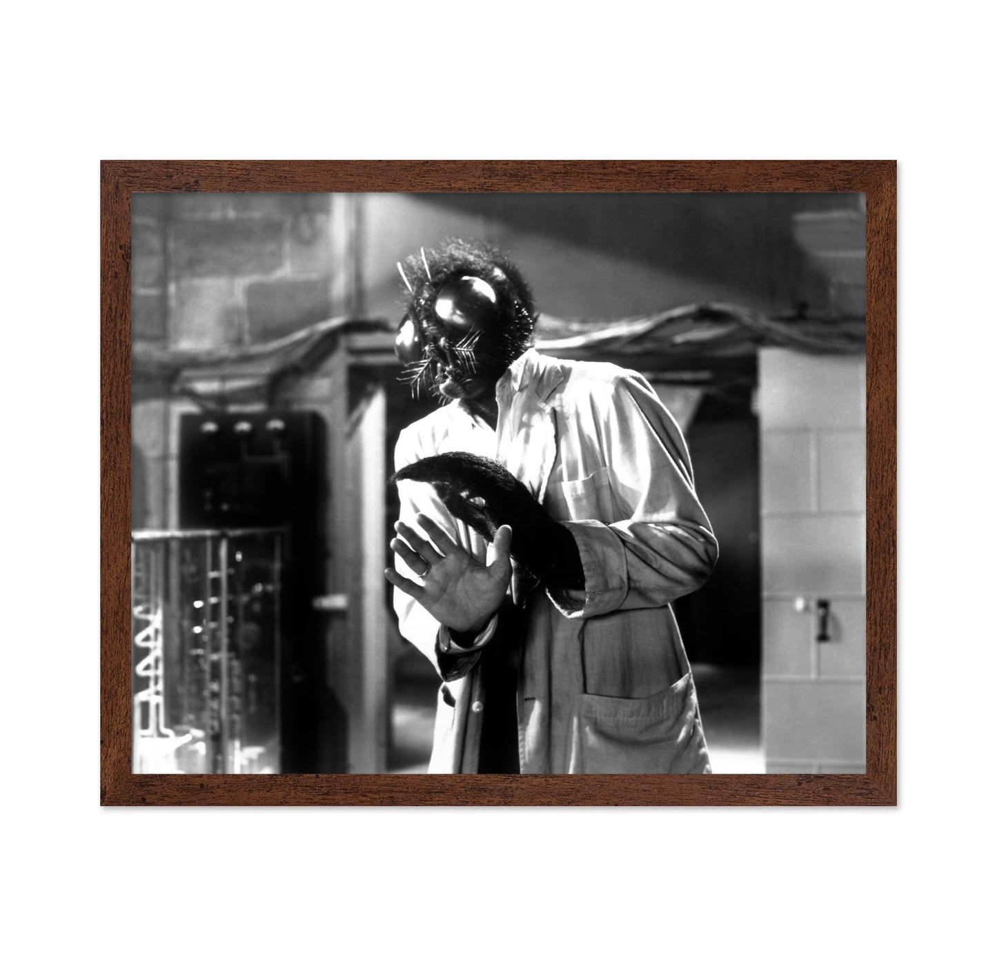 The Fly 1958 David Hedison