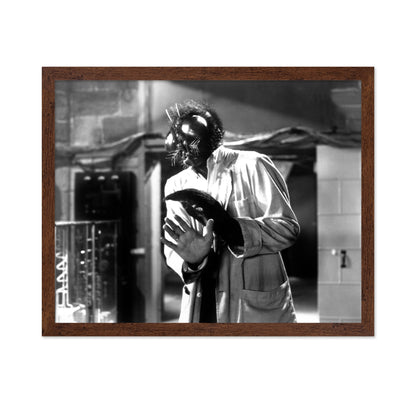 The Fly 1958 David Hedison