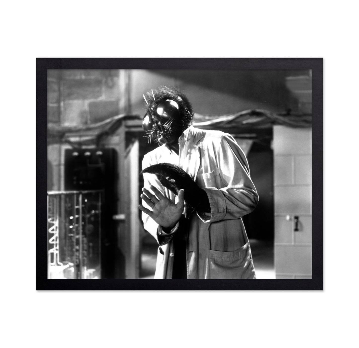 The Fly 1958 David Hedison