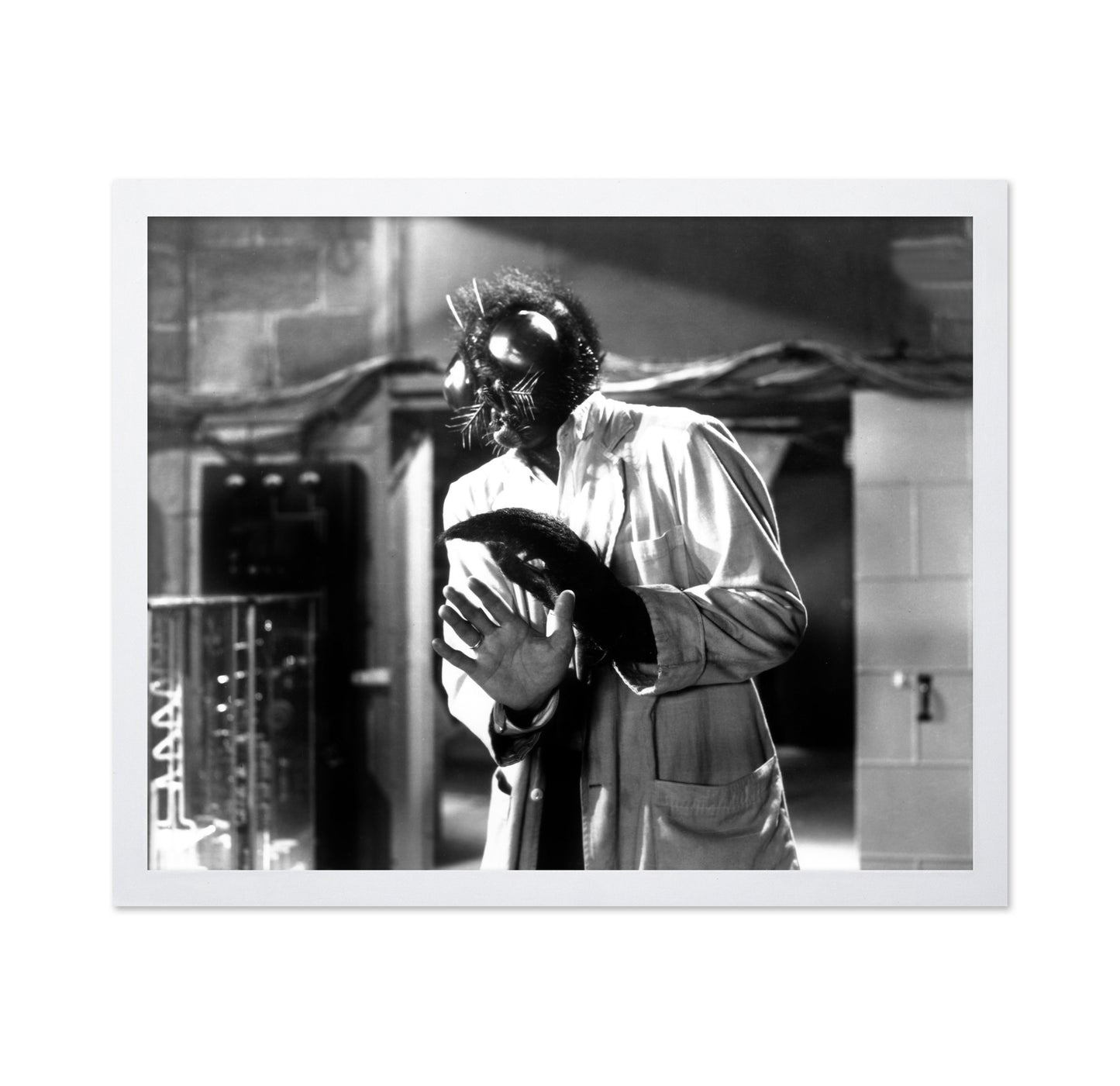 The Fly 1958 David Hedison