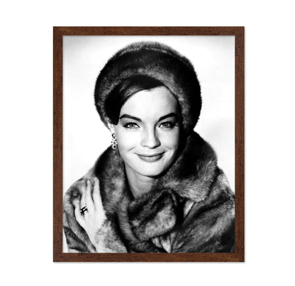 Good Neighbor Sam 1964 Romy Schneider