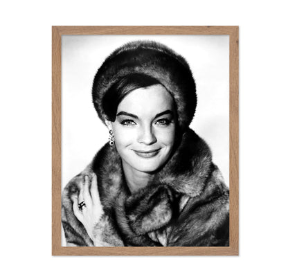 Good Neighbor Sam 1964 Romy Schneider