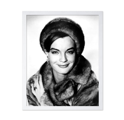 Good Neighbor Sam 1964 Romy Schneider