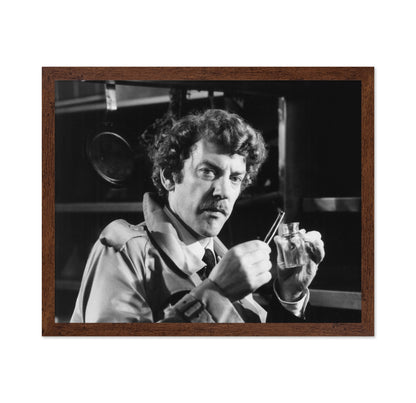 Invasion of The Body Snatchers 1978 Donald Sutherland