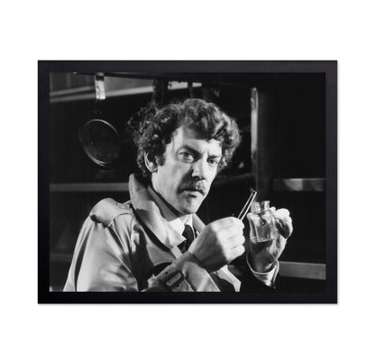 Invasion of The Body Snatchers 1978 Donald Sutherland