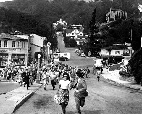 Invasion of The Body Snatchers 1956 Dana Wynter