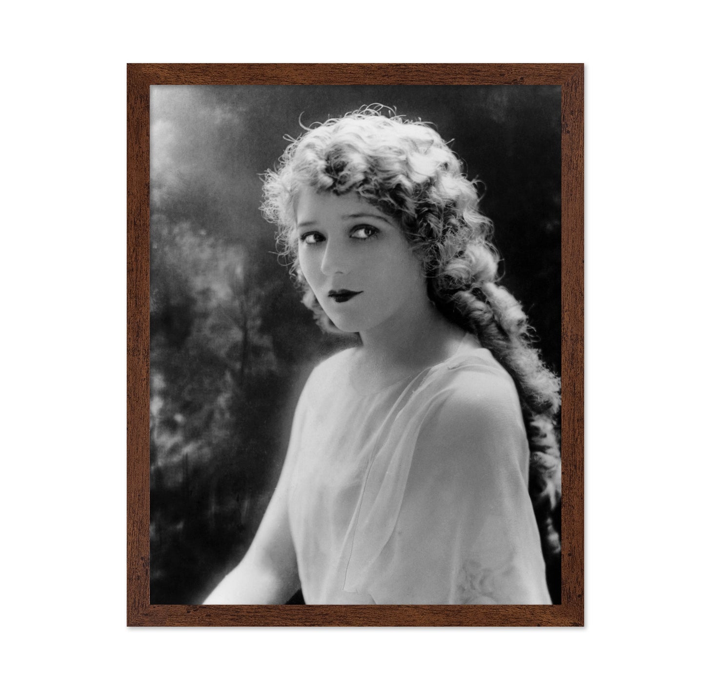 Mary Pickford 1920s No1
