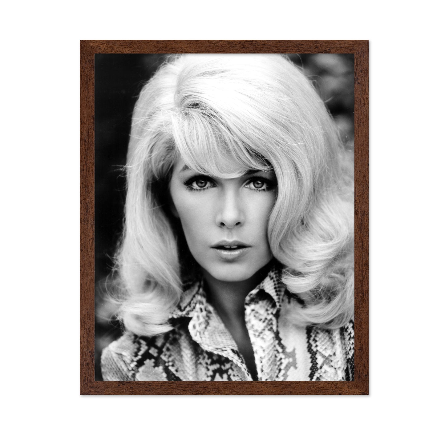 Rage 1966 Stella Stevens