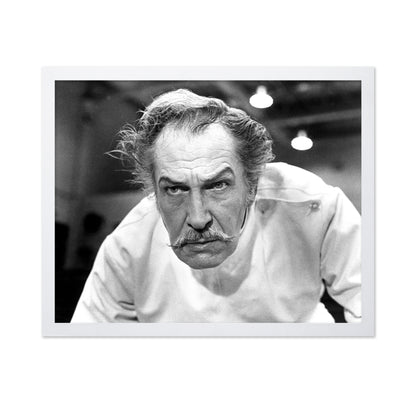 Theater of Blood 1973 Vincent Price