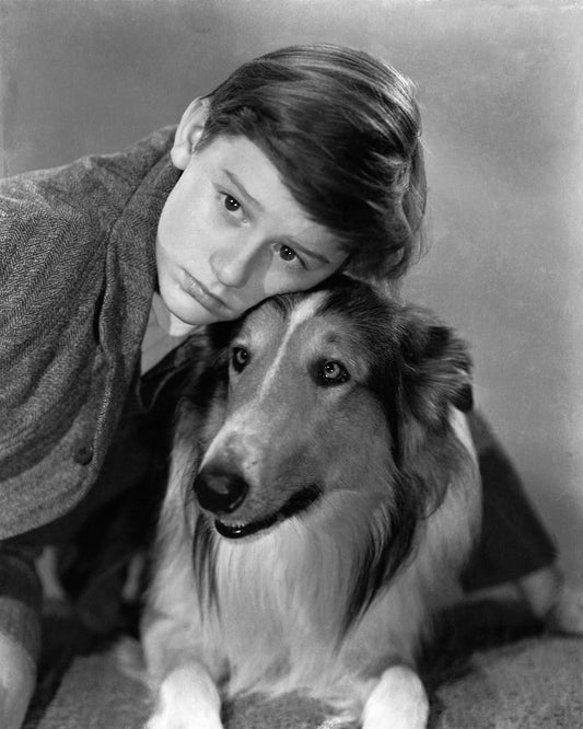 Lassie Come Home 1943 Roddy McDowall