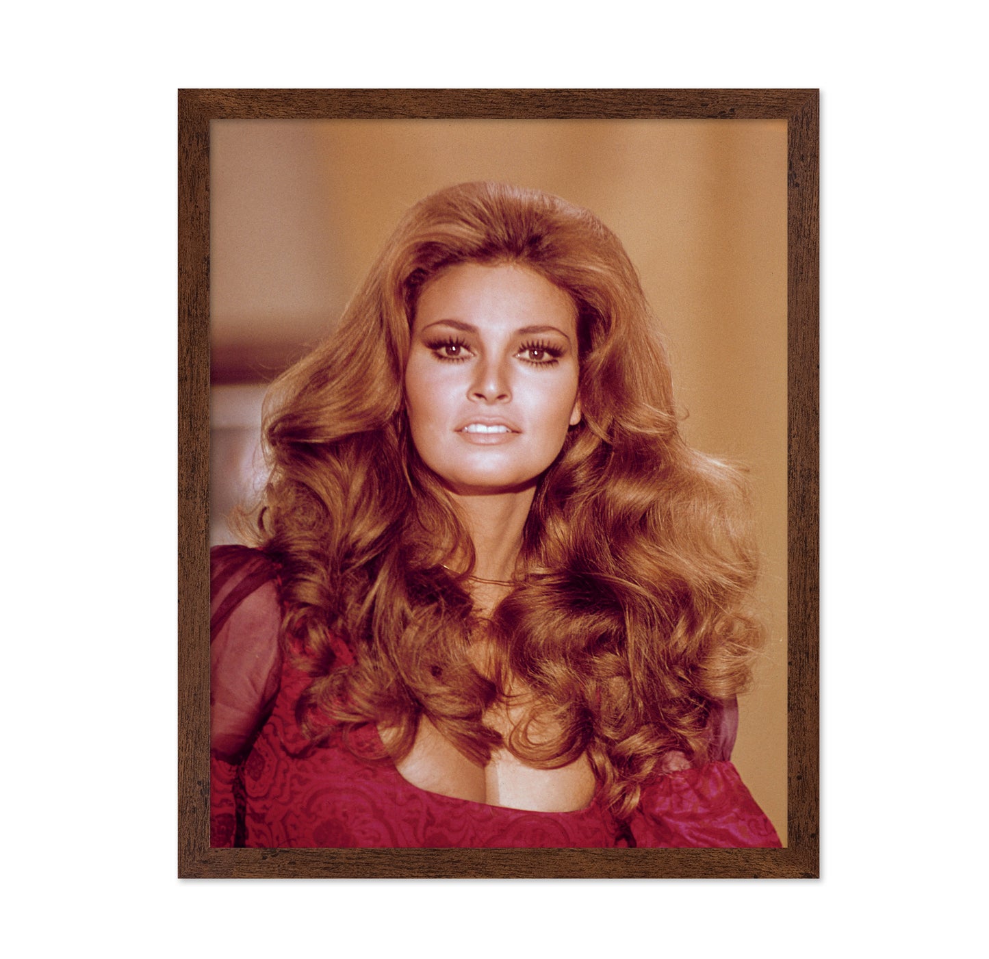 Raquel Welch 1970s