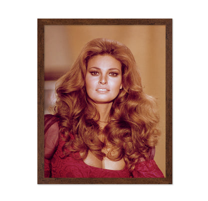 Raquel Welch 1970s