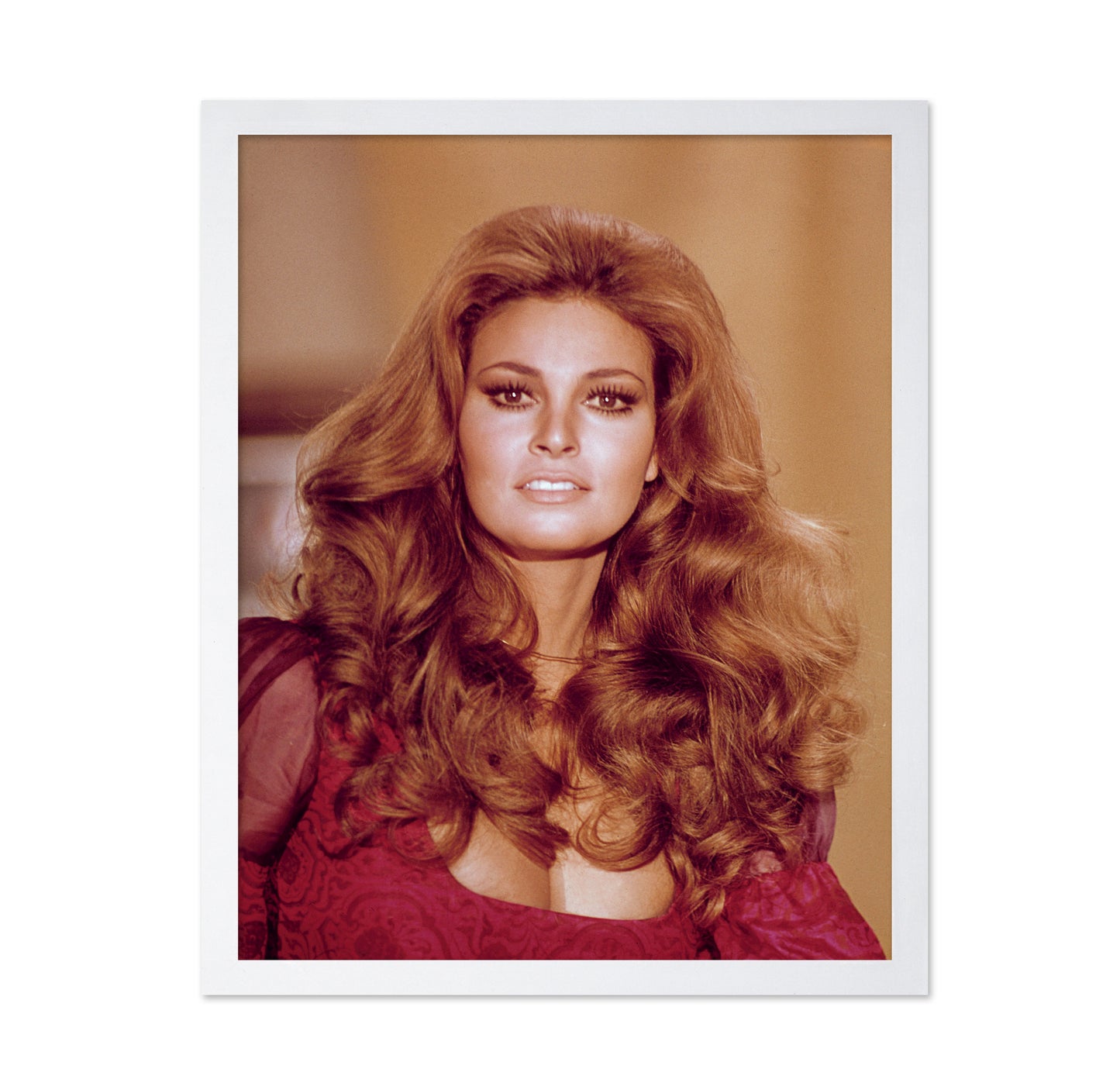Raquel Welch 1970s