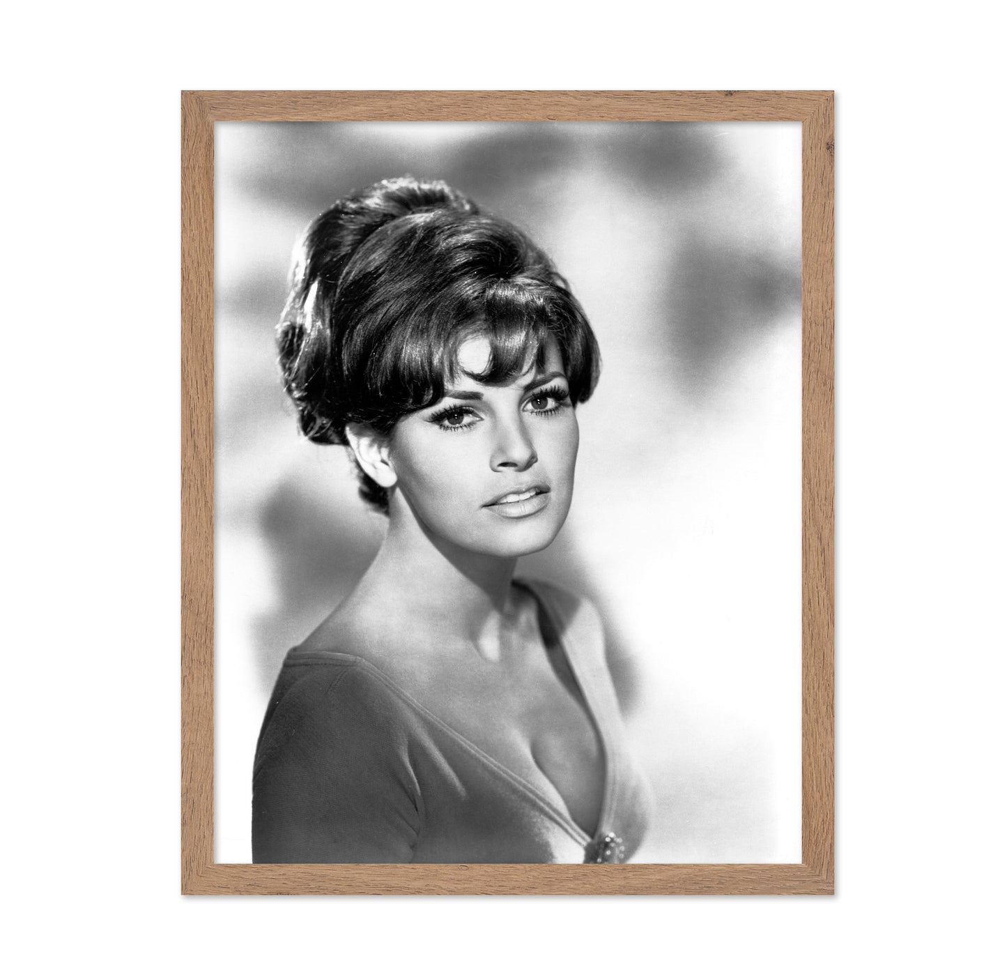 Raquel Welch 1960s