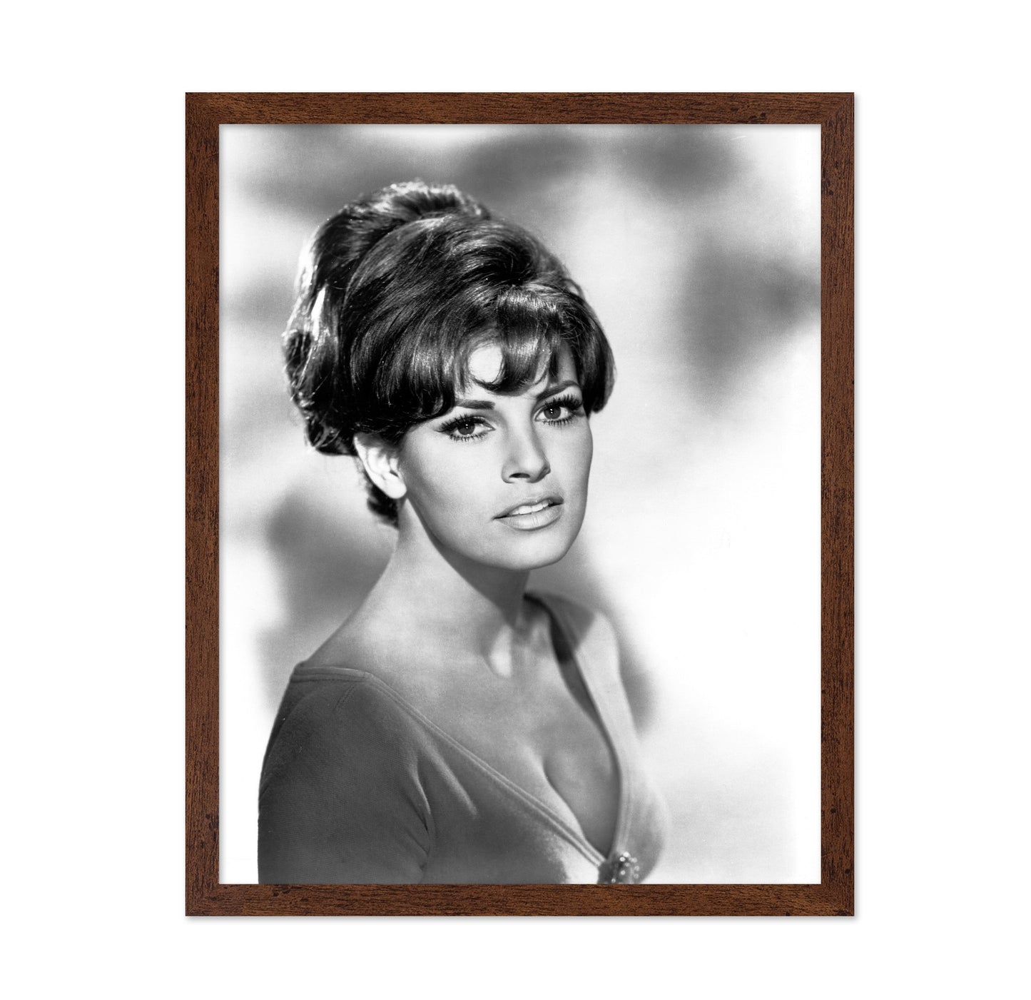Raquel Welch 1960s