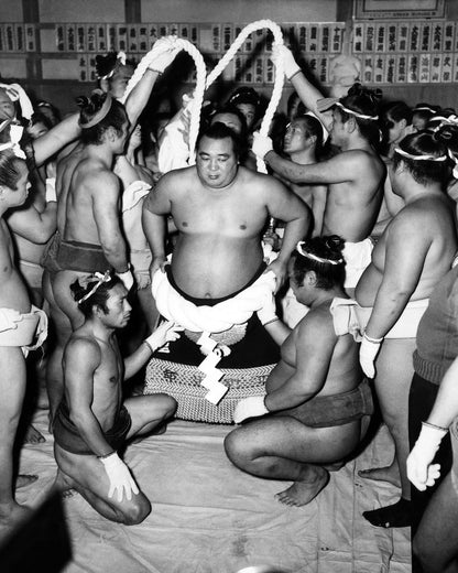 Sumo Wrestlers Japan 1950S