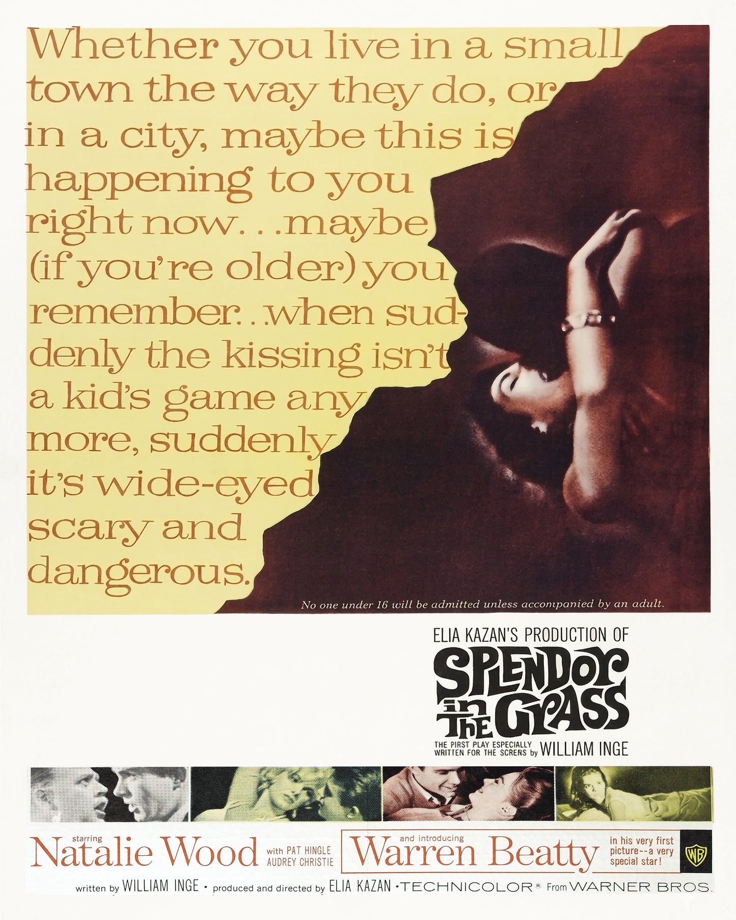 Splendor In The Grass 1961
