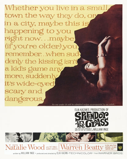 Splendor In The Grass 1961
